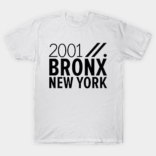 Bronx NY Birth Year Collection - Represent Your Roots 2001 in Style T-Shirt